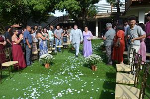 Plantas: imagem 2 de 15